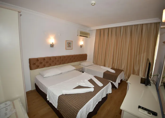 Almena Hotel 3*